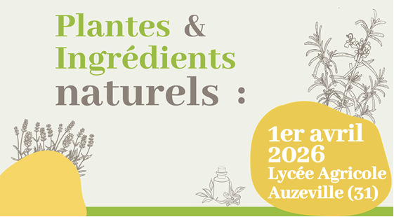 L’attribut alt de cette image est vide, son nom de fichier est image-1.png.